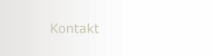 Kontakt